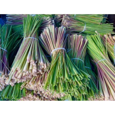 レモングラスエッセンシャルオイル