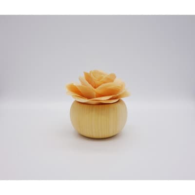 �X�̂����@�Ђ̂��̉Ԃ̃f�B�t���[�U�[