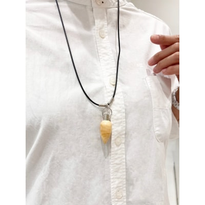 �X�̂����@Kinoaroma�N�����W�y���_���g