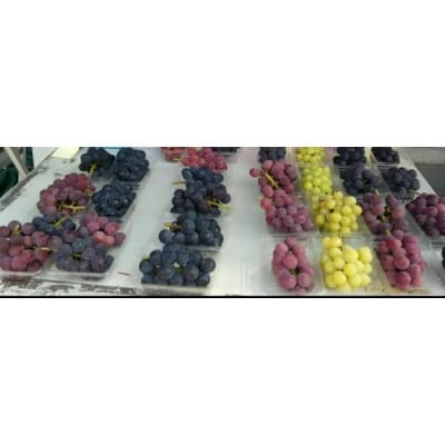 【2026年8月中旬より発送】シャインマスカット・他ブドウ詰め合わせセット(種なし)合計約2.8kg