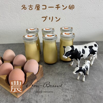 名古屋コーチン卵　プリン(6個入り)