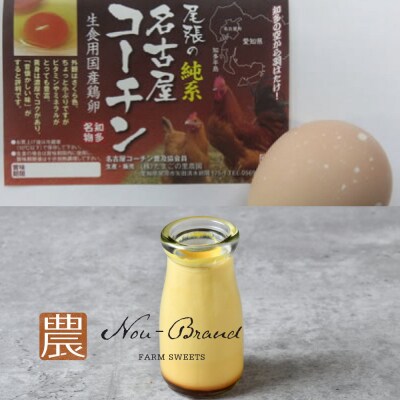 名古屋コーチン卵　プリン(6個入り)