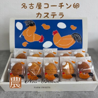 名古屋コーチン卵　カステラ(10個入り)