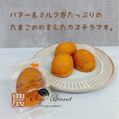 名古屋コーチン卵　カステラ(10個入り)
