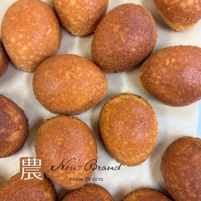 名古屋コーチン卵　カステラ(10個入り)