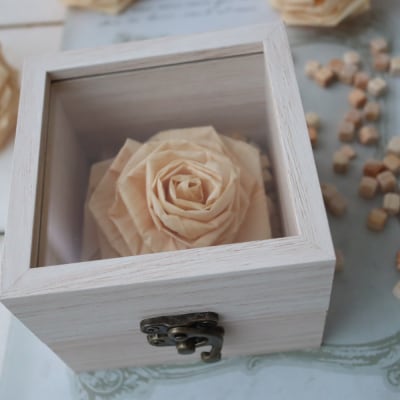 ひのき香る 癒しのバラ　HONOKI-BLOOM