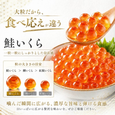 訳あり いくら醤油漬け 鮭卵 冷凍 500g(250gx2P)  尾張まるはち 