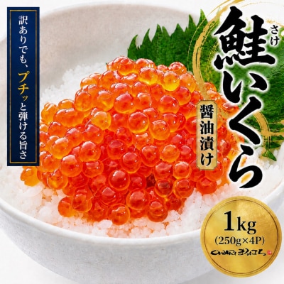 訳あり いくら醤油漬け 鮭卵 化粧箱入 1kg (250gx4P) 尾張まるはち