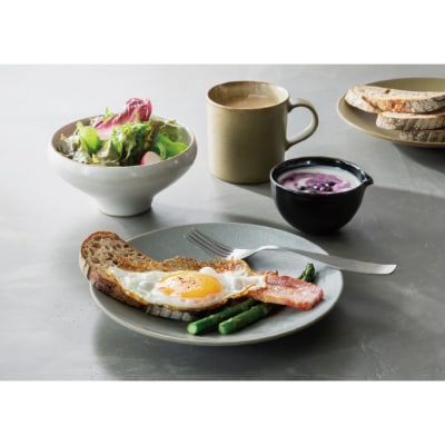 Tableware Shallow Bowl Rimペアセット21cm 鶯