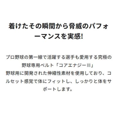 コアエナジー3 ブラック シルバー