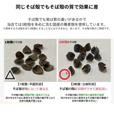 ごろ寝そば殻枕 やわらぎ大 サンタンオレンジ