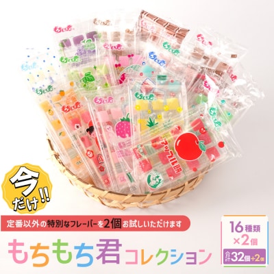＼年末感謝祭/もちもち君 コレクション 16種類×2個【今だけ特別規格】|ふるさと納税