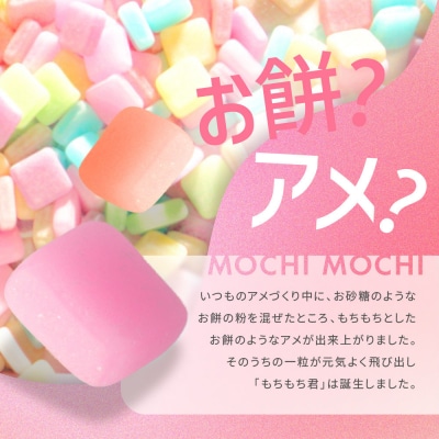 ＼年末感謝祭/もちもち君 コレクション 16種類×2個【今だけ特別規格】|ふるさと納税