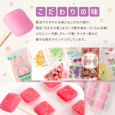 ＼年末感謝祭/もちもち君 コレクション 16種類×2個【今だけ特別規格】|ふるさと納税