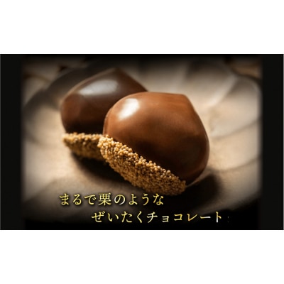 栗りん 【11月上旬から順次発送】まるで栗のような贅沢チョコ「 ぜいたく一粒 栗きんとんちょこら 」