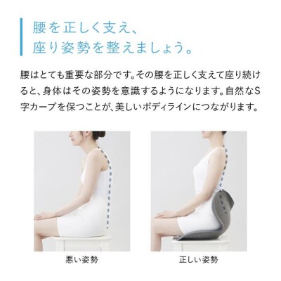 Style Standard【ブラックN01 生地無し仕様】 | スタイルスタンダード 姿勢サポート