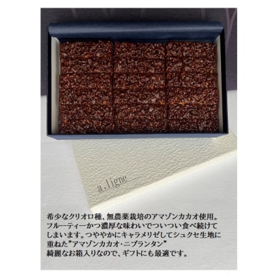 アマゾンカカオ・ニブランタン36本入り