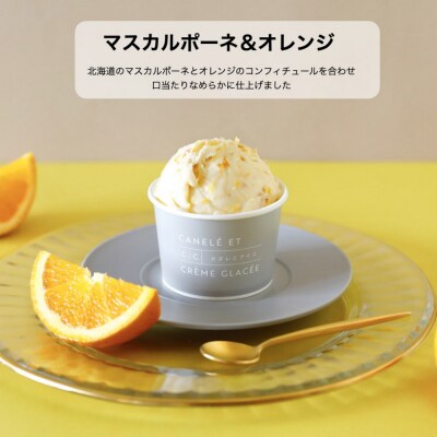 【全3回】＜パティシエ手作り＞至福のアイス6個セット【3ヶ月定期便】