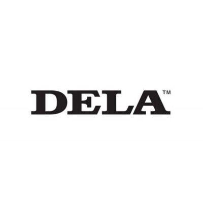 DELA ミュージックライブラリー N1-S38A-J (シルバー、SSD3.8TB)