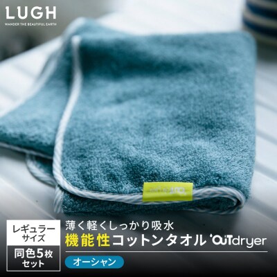 OUTdryer / レギュラーサイズ　 同色5枚セット【オーシャン】