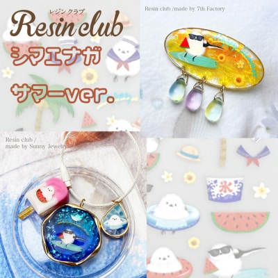 レジンクラブ レジンシート 5枚セット 【シマエナガ】両面タイプ シール