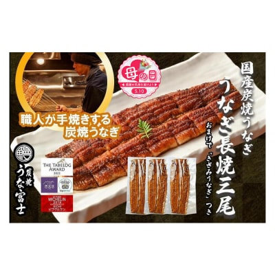 【母の日】特大うなぎ 長焼 3尾(1尾160g)×3袋 たれ&山椒付き