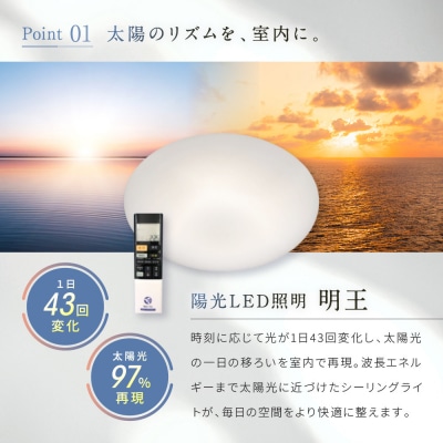 陽光LED照明　明王 心身の様々な不調を改善し健康になる照明