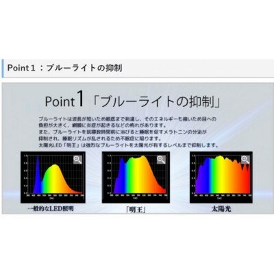 陽光LED照明　明王 心身の様々な不調を改善し健康になる照明