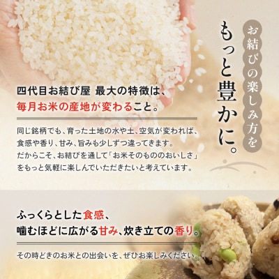南知多産しらすをふんだんに使った「贅沢しらすむすび(10個入り) | 冷凍おにぎり