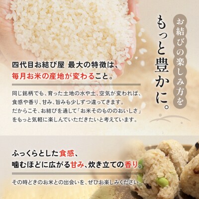 「名古屋コーチンと八丁味噌の焼きおむすび」(10個入り) | 冷凍おにぎり