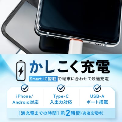 【チャコールグレー】ラスタバナナ 10000mAhリン酸鉄リチウムモバイルバッテリー
