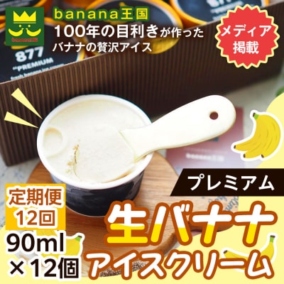 【定期便12ヶ月】【果実のままの甘み】プレミアム生バナナアイスクリーム 12個セット