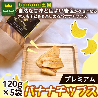 【軽やかな食感の贅沢おやつ】プレミアムバナナチップス 120g 5袋 