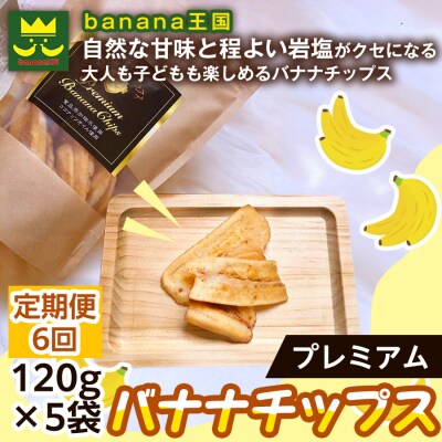 【定期便6ヶ月】【軽やかな食感の贅沢おやつ】プレミアムバナナチップス 120g 5袋 