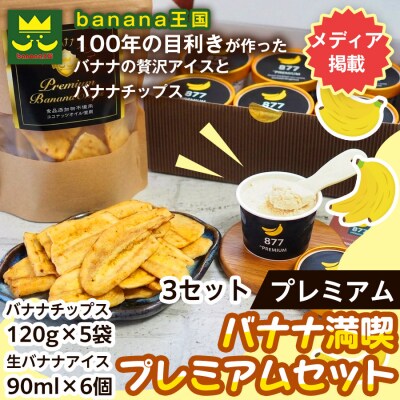 【満喫プレミアムセット】プレミアム生バナナアイスクリーム・プレミアムバナナチップス  3セット