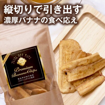 【満喫プレミアムセット】プレミアム生バナナアイスクリーム・プレミアムバナナチップス  3セット