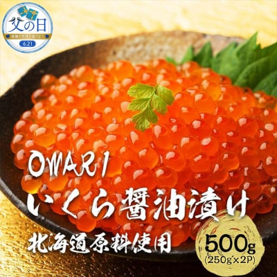 【父の日】いくら 醤油漬け 500g(250g×2P)
