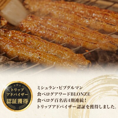 【土用の丑の日お届け】特大うなぎ 長焼 3尾(1尾160g)×3袋 たれ&山椒付き