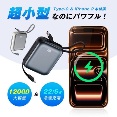 【グレー】モバイルバッテリー 12000mAh 46.2Wh 【PL保険加入済み製品】