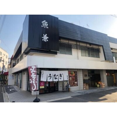 ＜三河一色産うなぎ＞白焼き　おつまみにどうぞ!4匹(計約800g)