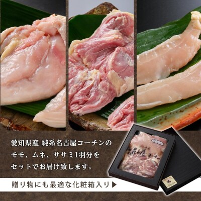 純系名古屋コーチン　豪華生肉セット