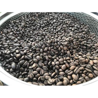 doctor coffee　珈琲豆　2袋
