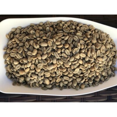 doctor coffee　珈琲豆　2袋