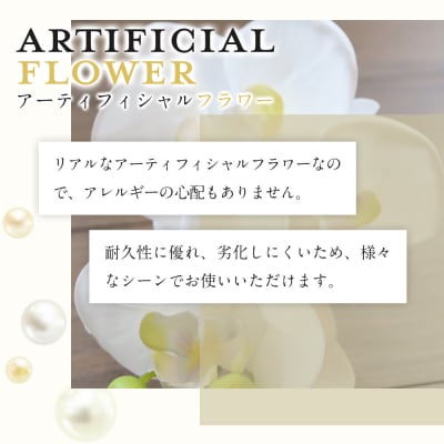 胡蝶蘭コサージュ ホワイト