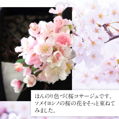 桜サクラのコサージュ