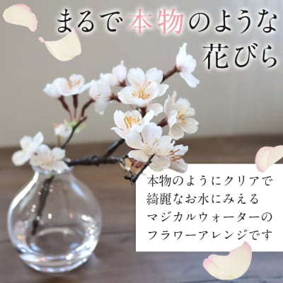 新春　淡雪桜　さくら　魔法の水　マジカルウォーター『淡雪』