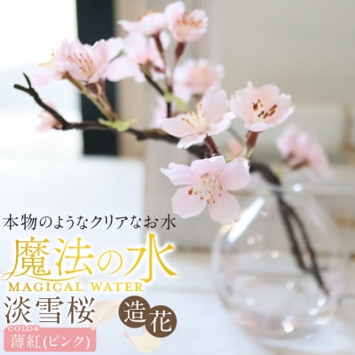 新春　淡雪桜　さくら　魔法の水　マジカルウォーター『薄紅』