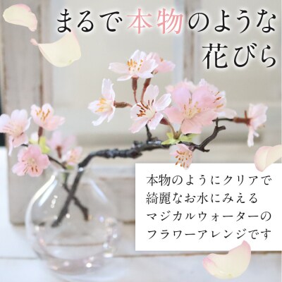 新春　淡雪桜　さくら　魔法の水　マジカルウォーター『薄紅』