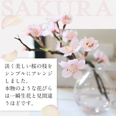 新春　淡雪桜　さくら　魔法の水　マジカルウォーター『薄紅』