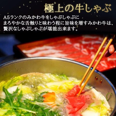A5等級みかわ牛　しゃぶしゃぶ・すき焼き用スライス肉　1kg(500g×2)